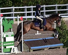 Bloxham Eventer Challenge 65cm Benjamin (002)