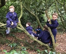 Forest school 3